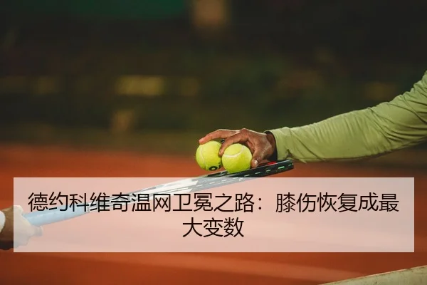 de-yue-ke-wei-qi-wen-wang-wei-mian-zhi-lu-xi-shang-hui-fu-cheng-zui-da-bian-shu-2-543.jpg