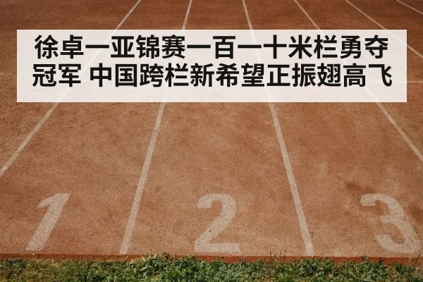 徐卓一亚锦赛一百一十米栏勇夺冠军 中国跨栏新希望正振翅高飞